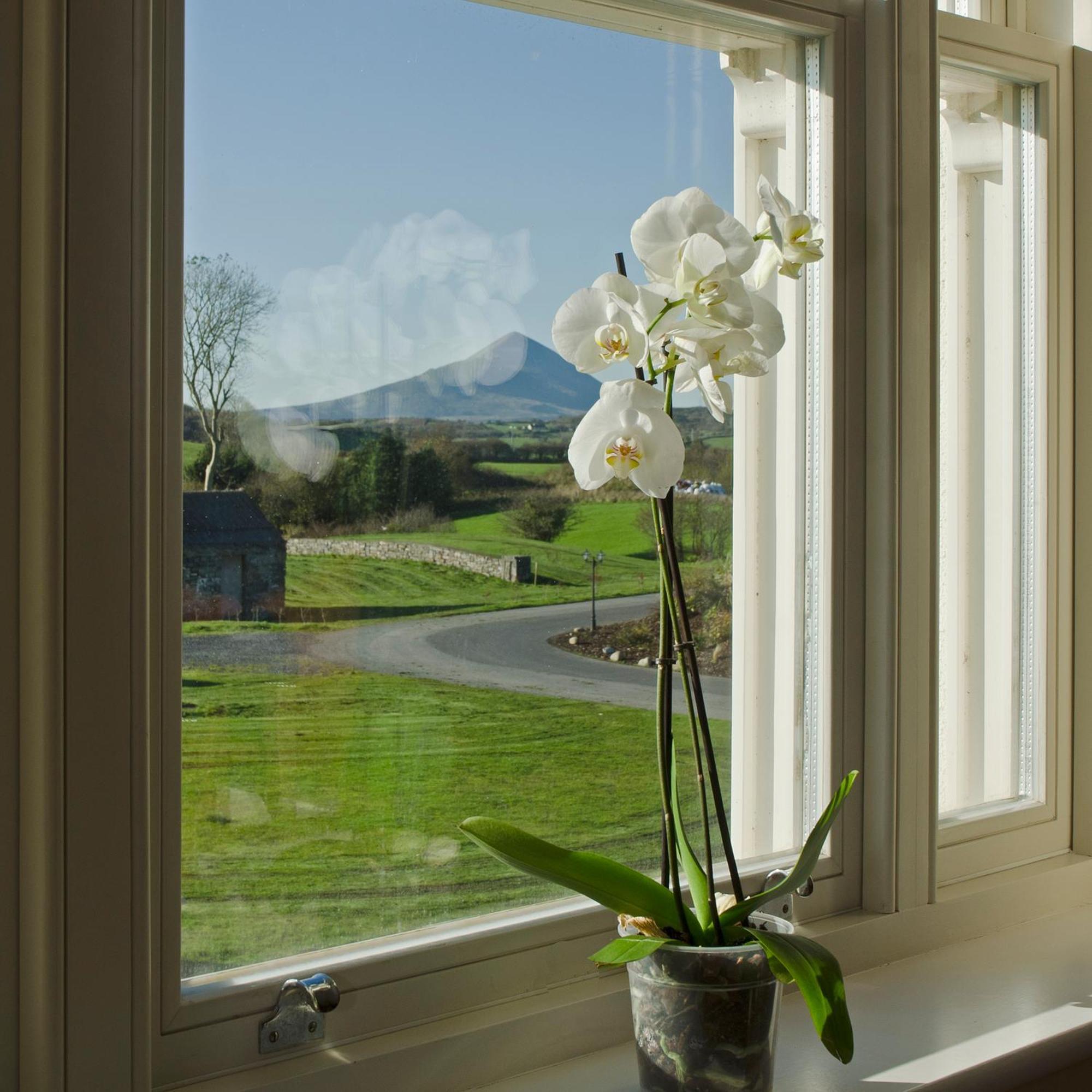 Westport Country Lodge Hotel Екстер'єр фото